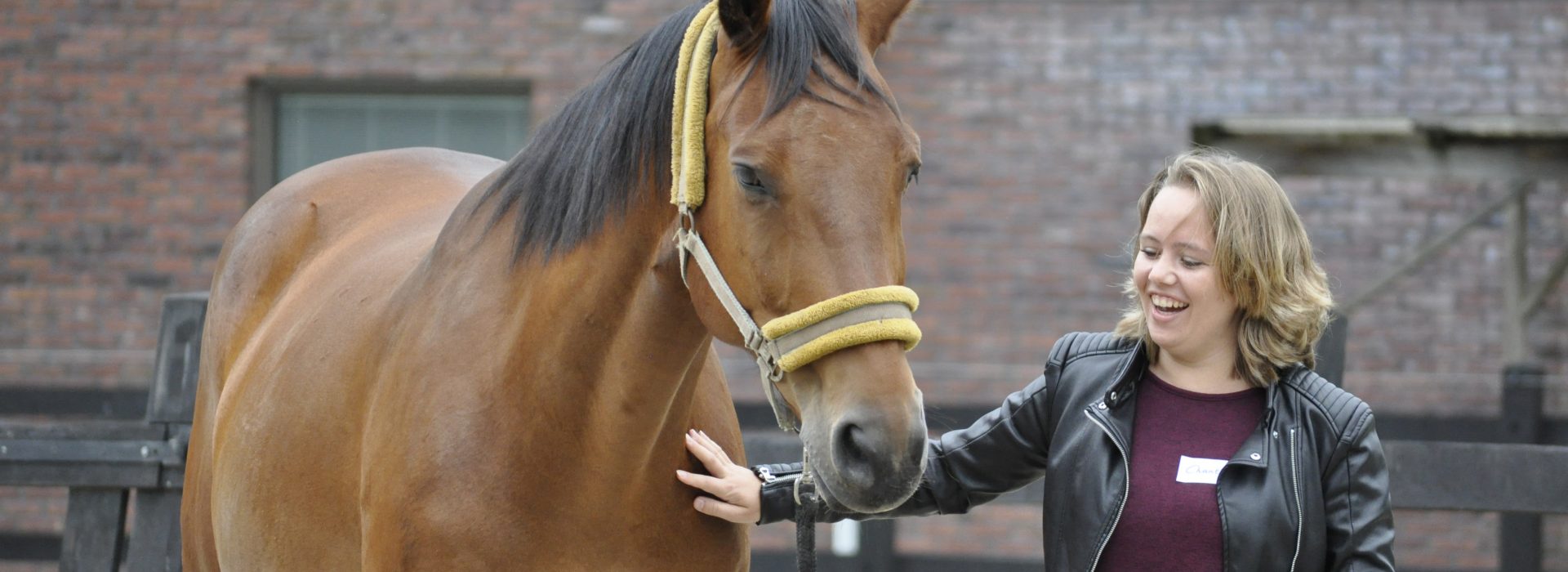 Workshop Paardencoaching